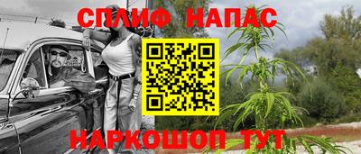 мдпв Гудермес