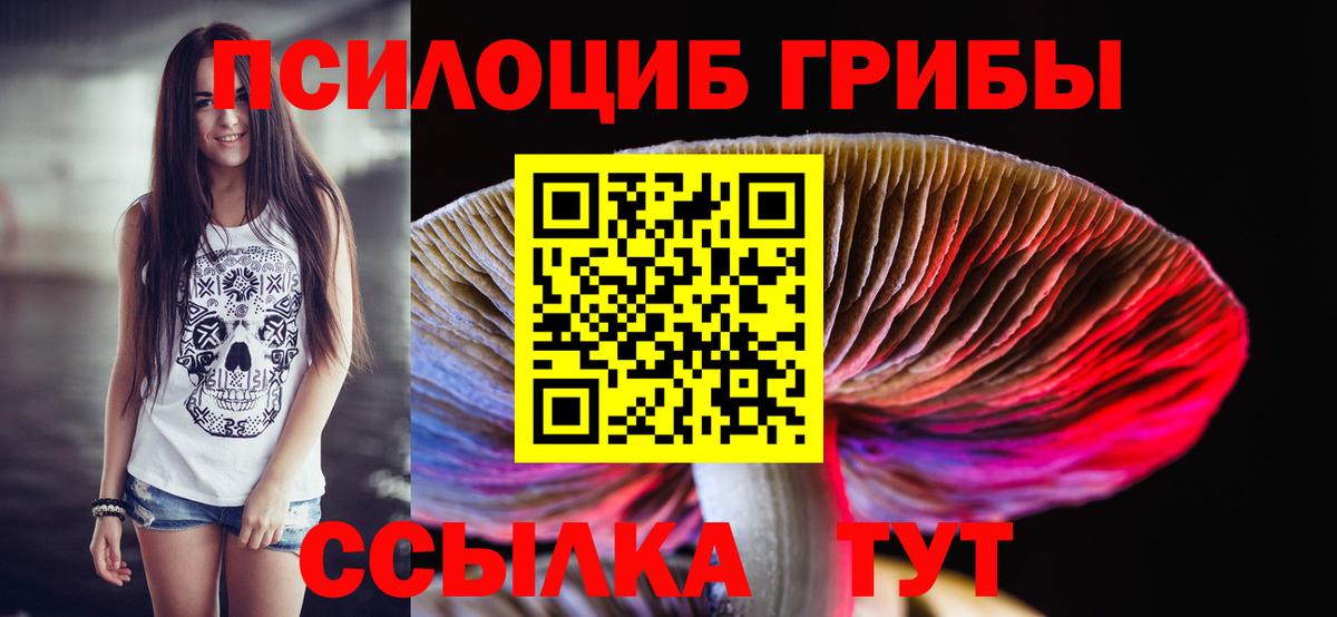 Псилоцибиновые грибы мицелий Майский